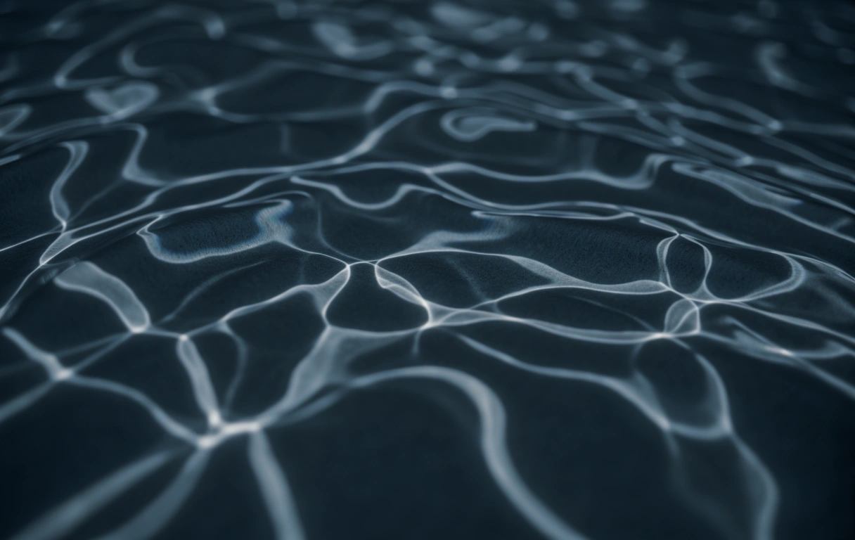 Market Intelligence focus